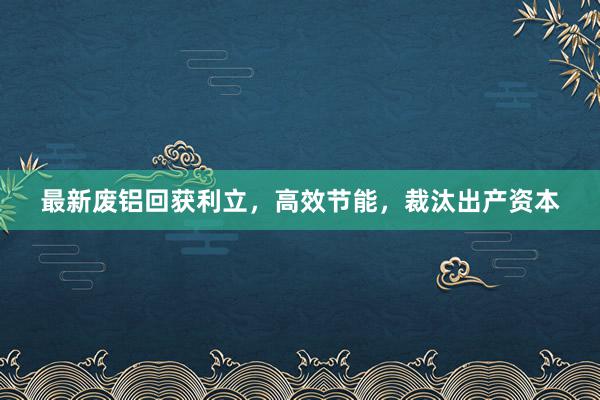 最新废铝回获利立，高效节能，裁汰出产资本